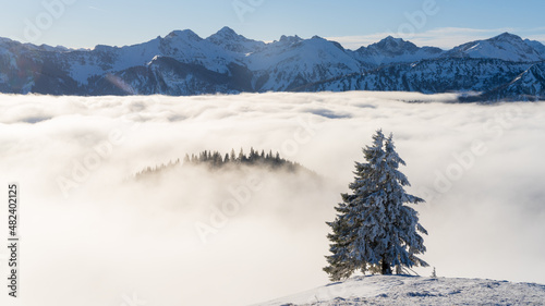 Above the clouds in the winter in the mountains in Austria, Tannheimer Tal valley