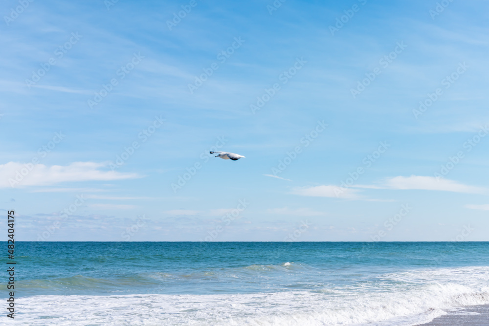 Beautiful picture with the view of Melbourne Beach in Florida with Gull birds Beautiful picture with the view of Melbourne Beach in Florida with Gull birds