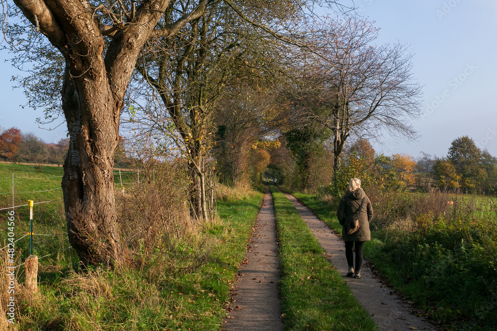 Frau spaziert am Feldweg im Herbst Frau spaziert am Feldweg im Herbst