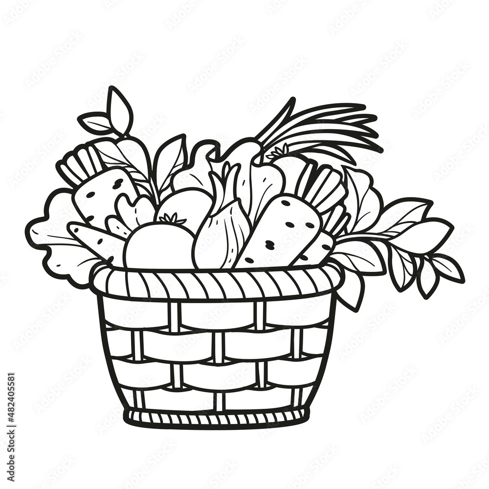 Wicker basket with fresh vegetables outlined for coloring book on white  background Stock Vector | Adobe Stock