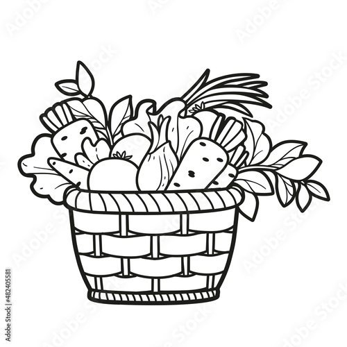 Wicker basket with fresh vegetables outlined for coloring book on white background