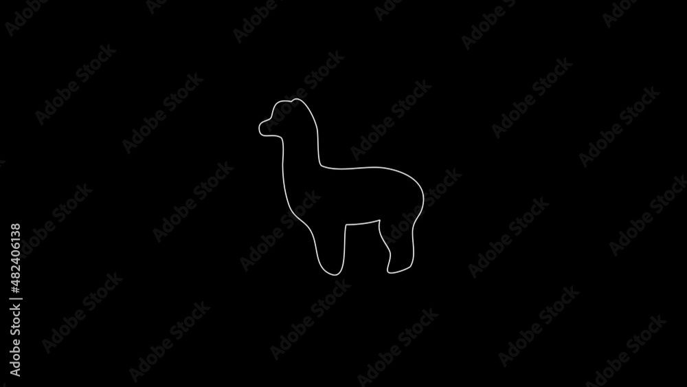 white linear lama silhouette. the picture appears and disappears on a black background.
