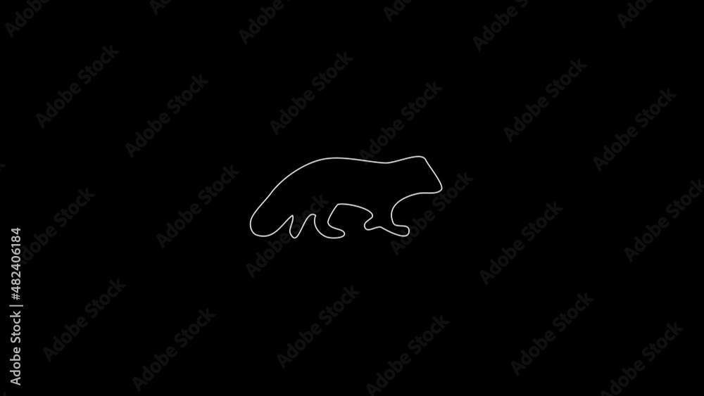 white linear fox silhouette. the picture appears and disappears on a black background. white linear fox silhouette. the picture appears and disappears on a black background.