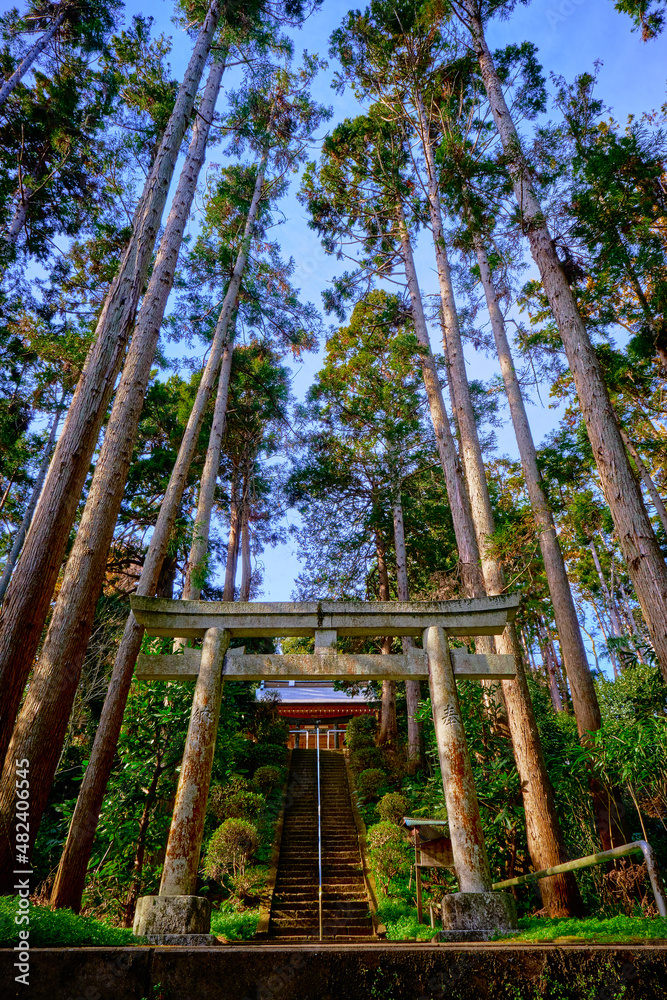 A shrine in the woods