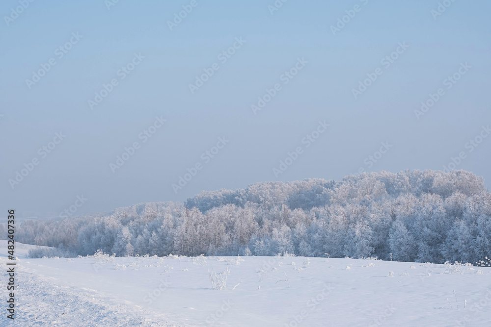 Winter forest and foggy sky. Dreamy winter forest with snow on trees. Winter forest and foggy sky. Dreamy winter forest with snow on trees.