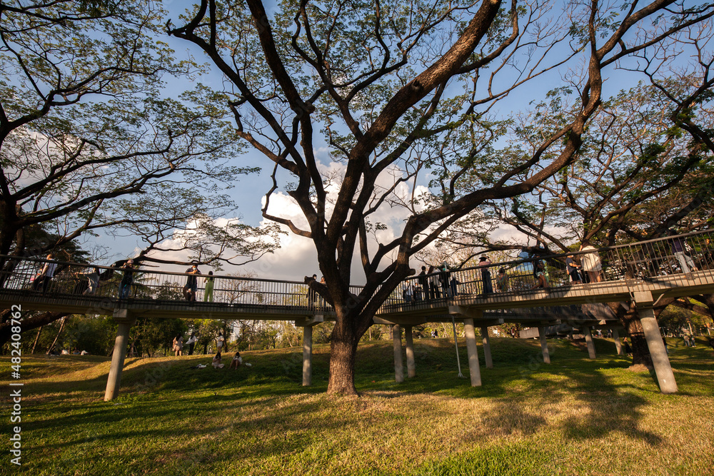 Benjakitti Forest Park, is new landmark and public park in downtown of Bangkok, Thailand