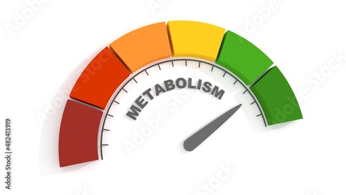 Canvastavla Metabolism level scale with arrow. 3D Render