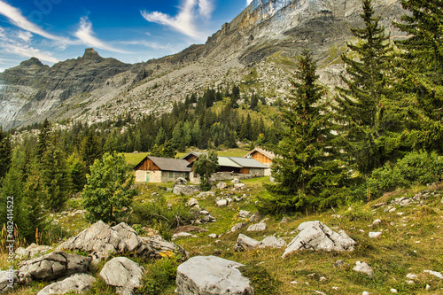 Alpine pasture and mountain farm on the tree line in the mountains above Plaine Joux, Passy, French Alps, Haute Savoie