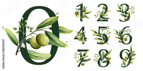 Numbers set in watercolor style with olive branches.