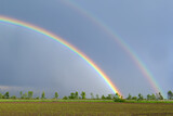 Double Rainbow, Germany