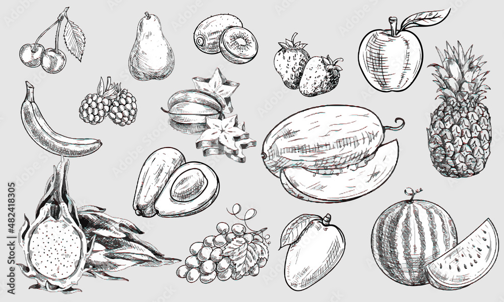 Free Vector | Hand draw collection fruits sketch on white background