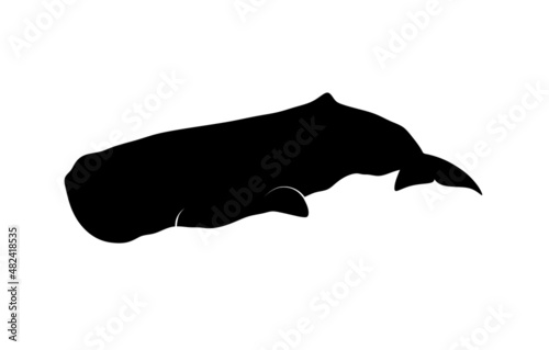 Whale silhouette. Whale isolated illustration. Sperm whale.