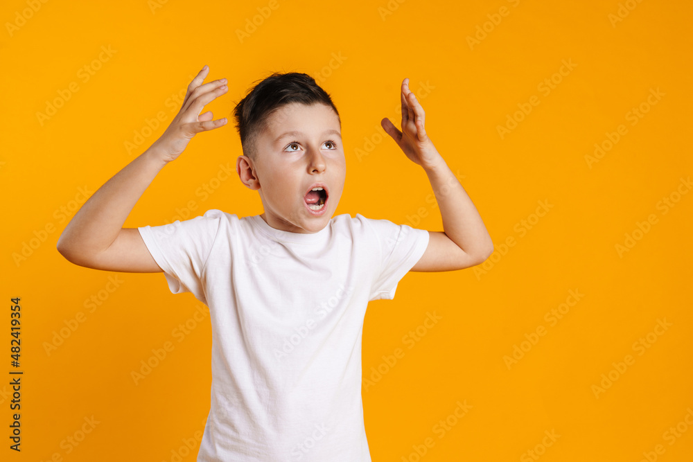 Happy smiling preteen boy in t-shirt standing Happy smiling preteen boy in t-shirt standing