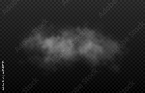 Vector cloud of smoke or fog. Fog or cloud on an isolated transparent background. Smoke, fog, cloud png.