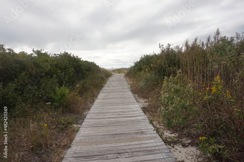 Wooden Weathered Board Walk Through Dunes with Plants Beach Ocean and Sky