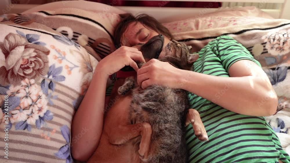 Dream. A man sleeps on a bed with a cat and a dog. Dream. A man sleeps on a bed with a cat and a dog.