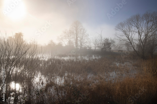 foggy winter mood at the lake