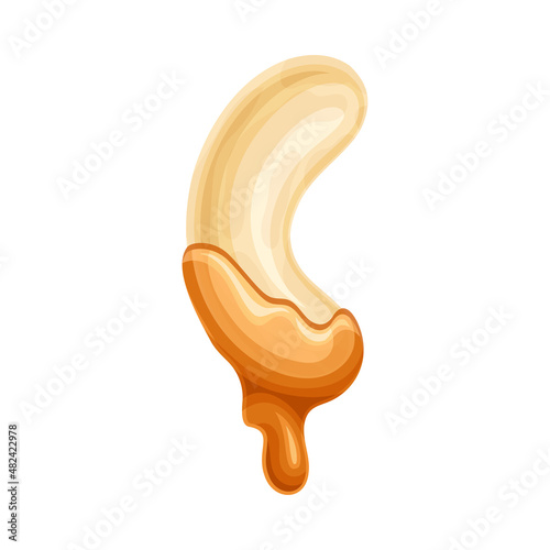Cashew with liquid melted chocolate. Nutritious natural sweet dessert vector illustration