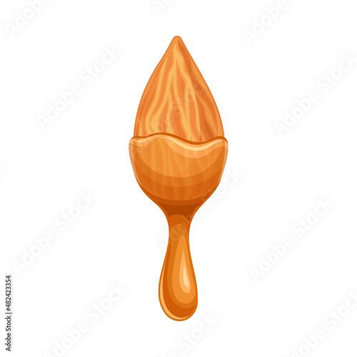Almond nut with liquid melted chocolate. Nutritious natural sweet dessert vector illustration