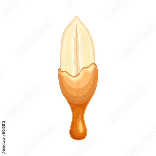 Peeled peanut in liquid caramel. Nutritious natural sweet dessert vector illustration