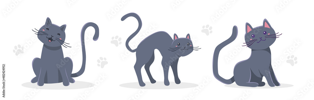 Vector set of illustration of happy cute gray cat character on white color background in different pose. Flat style design of animal cat