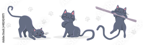 Vector set of illustration of happy cute gray cat character on white color background. Flat style design of animal cat in different pose