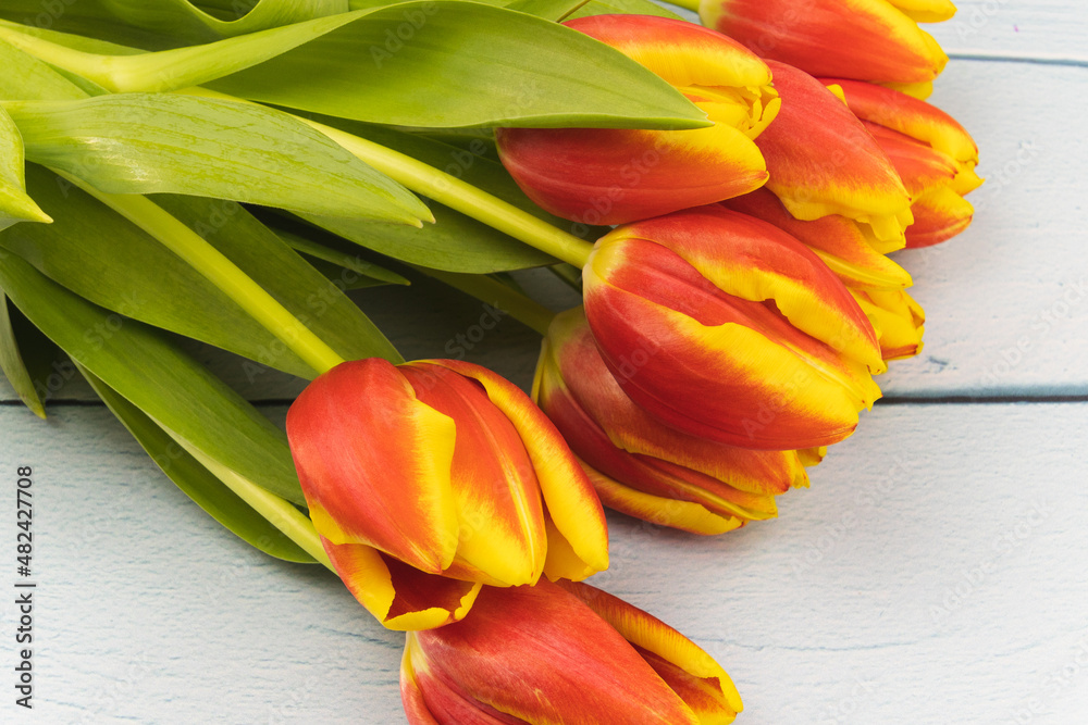 Obraz premium beautiful tulips on wooden background