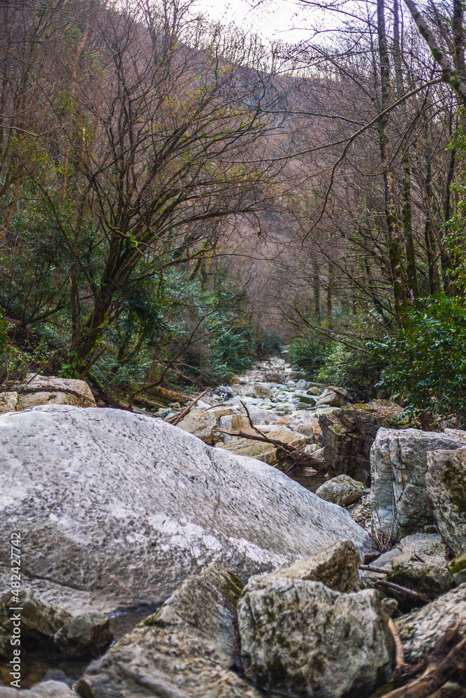 Fototapeta premium river in the mountains