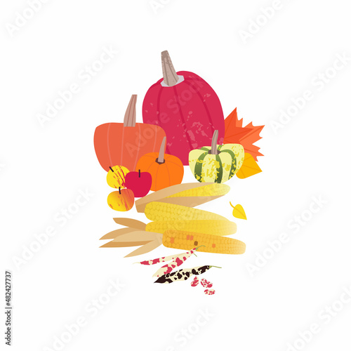 Harvest scene with pumpkins, corn, apples and beans. Autumn holiday illustration, harvest festival, country lifestyle. Flat design vector