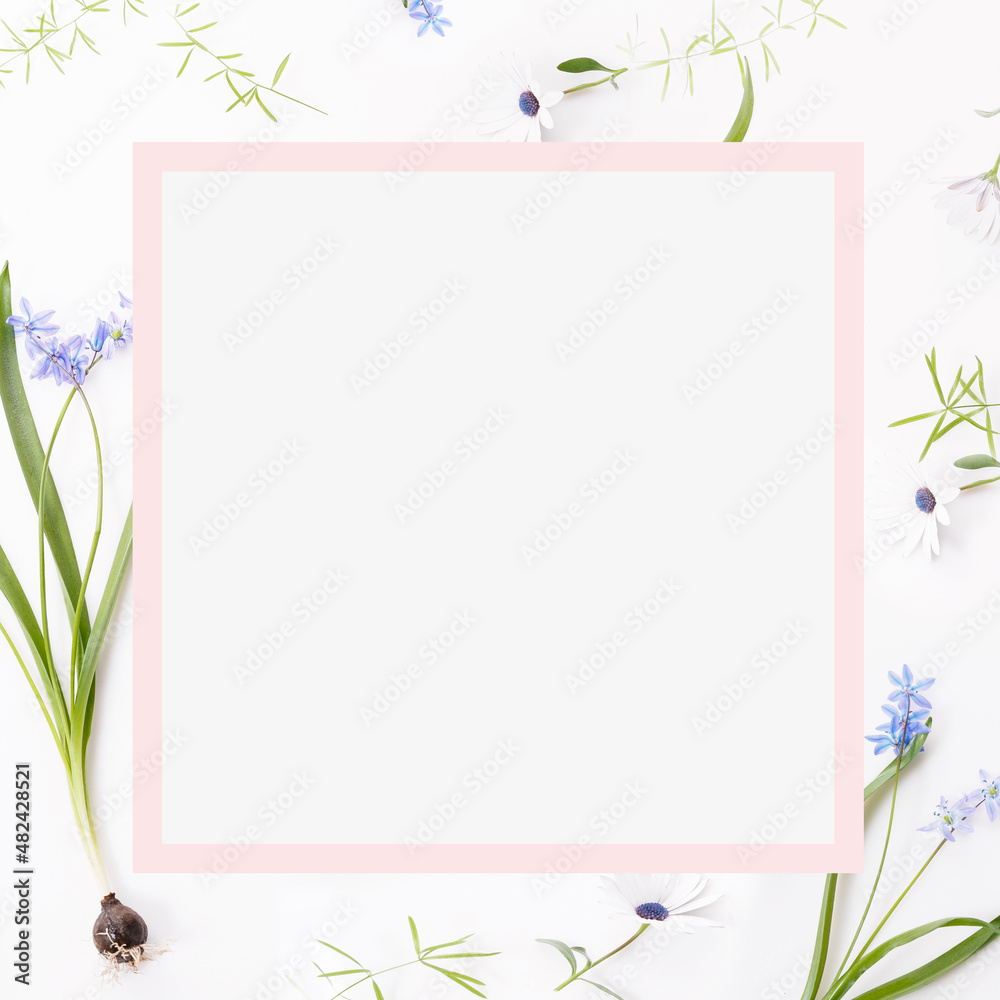 Spring frame of small flowers and daisy, floral arrangement