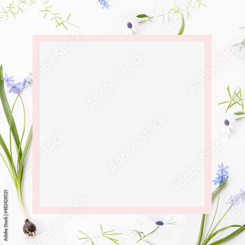 Spring frame of small flowers and daisy, floral arrangement