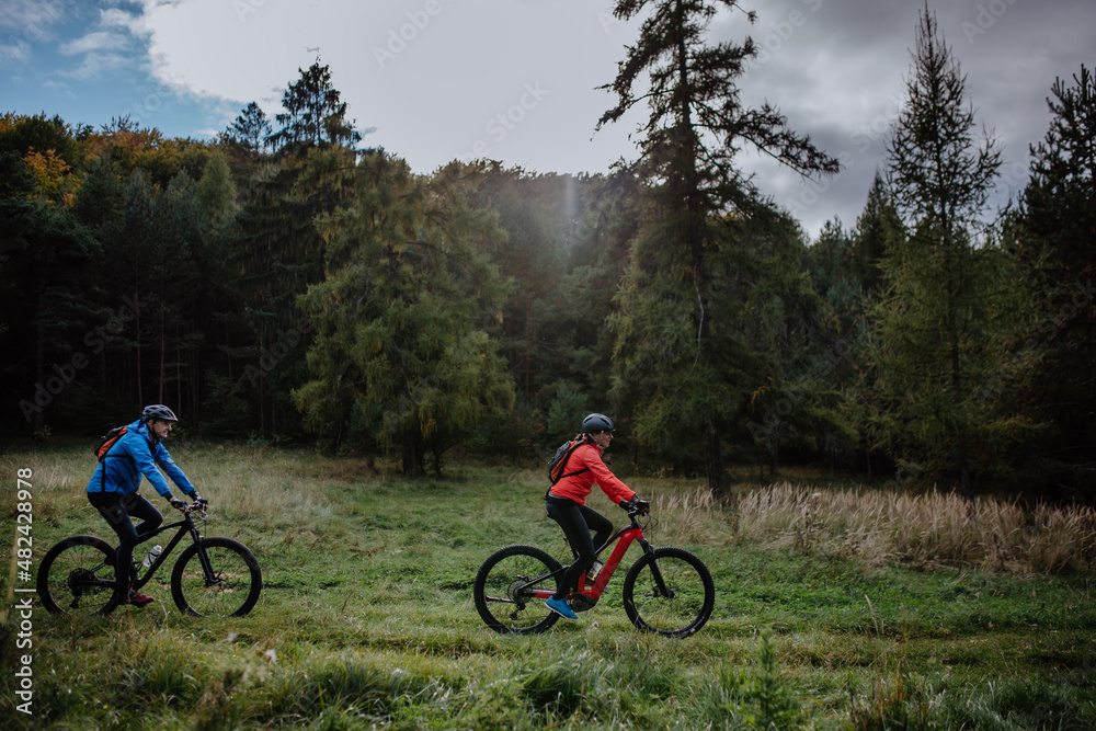 Side view of active senior couple riding bikes outdoors in forest in autumn day.