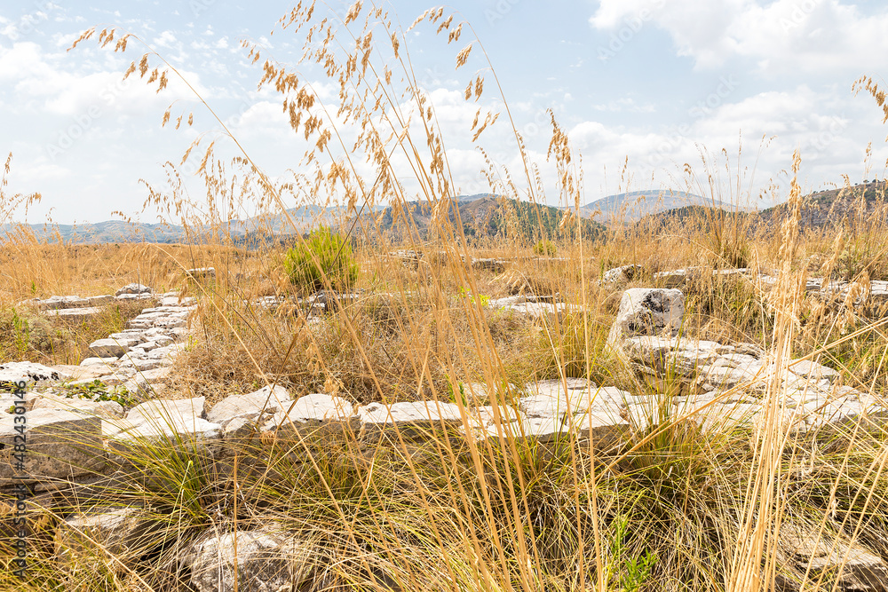 Fototapeta premium Panoramic SIghts of The Acropoli at Segesta Archaeological Park in Trapani, Sicily, Italy.