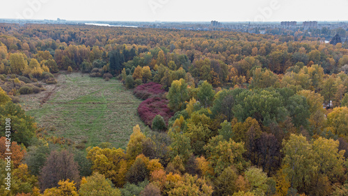 glades in the autumn forest from a bird's eye view