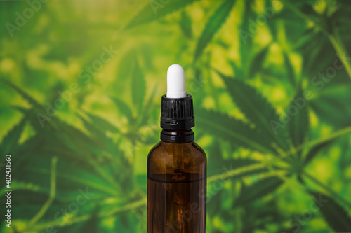 CBD hemp oil, Hand holding pipette of Cannabis oil against Marijuana plant. Herbal Treatment, Alternative Medicine