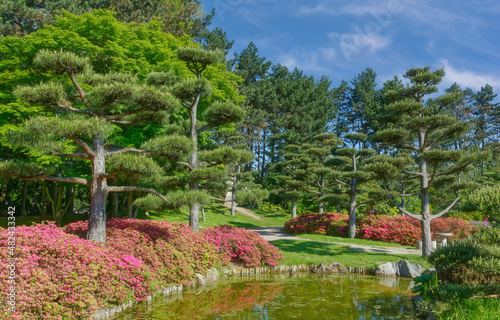 der Japanischen Garten im Nordpark,Düsseldorf,Deutschland