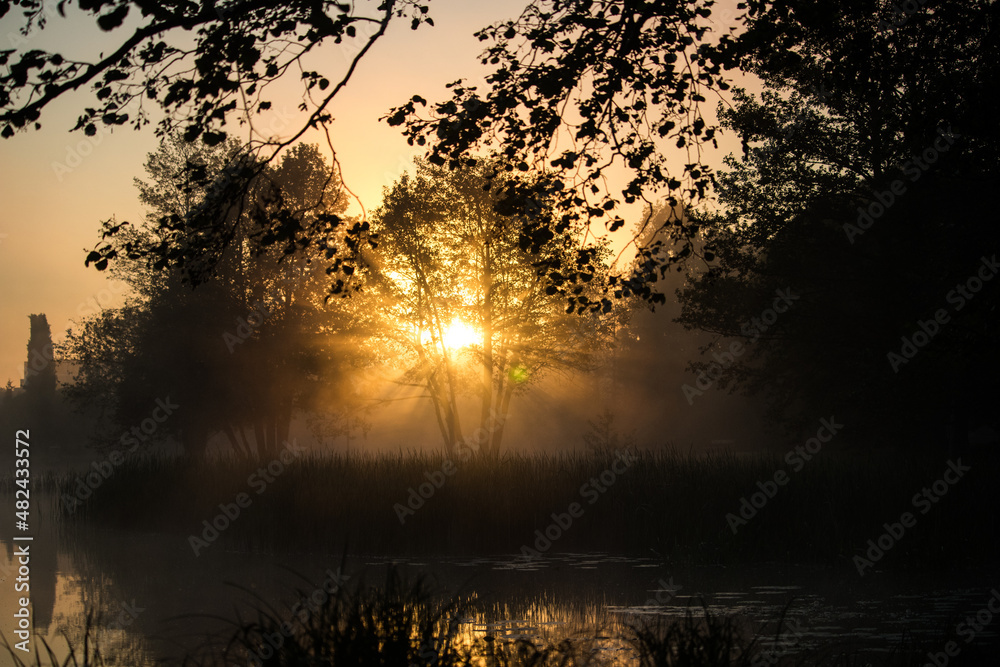 Sunrise on a misty lake with tree branches Sunrise on a misty lake with tree branches