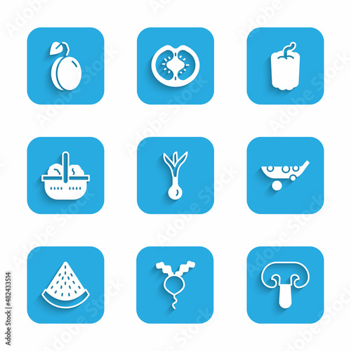 Set Onion, Radish, Mushroom, Peas, Watermelon, Basket and food, Bell pepper and Plum fruit icon. Vector