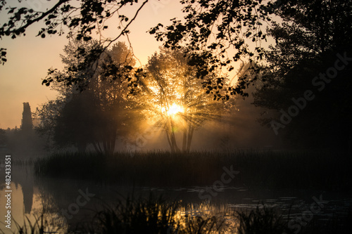 Fototapeta Naklejka Na Ścianę i Meble -  Sunrise on a misty lake with tree branches