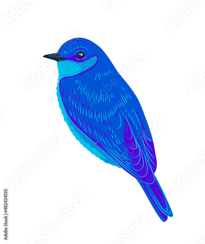 Hand-drawn illustration of a cute little blue bird on isolated background