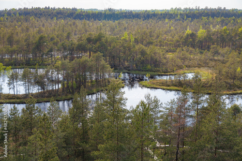 Fototapeta Naklejka Na Ścianę i Meble -  Aerial view at the Mukri bog, Estonia