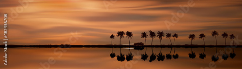 Palm trees silhouette and coast line vector illustration © kora_ra_123