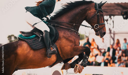 Foto competitor and his horse jumping at an equestrian contest