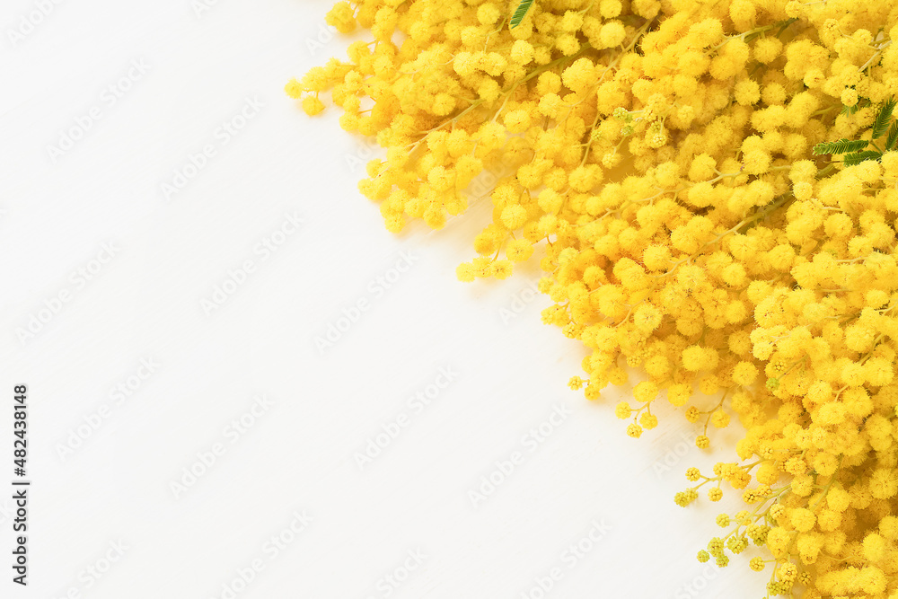 Mimosa flowers bouquet on a white wooden background. Easter, Mothers Day, Women's day concept Mimosa flowers bouquet on a white wooden background. Easter, Mothers Day, Women's day concept