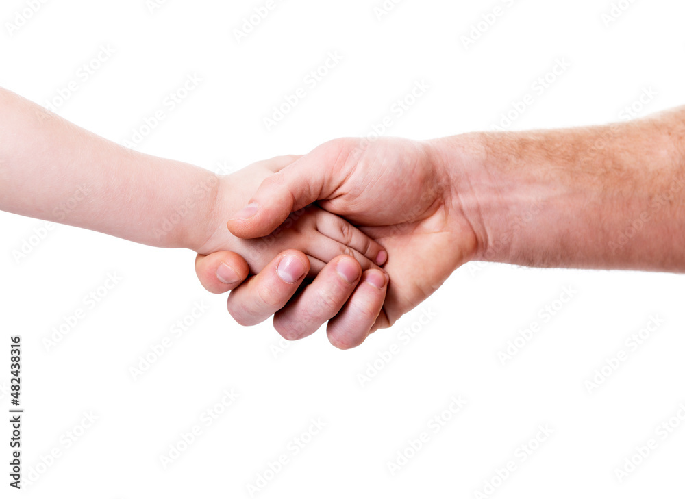 Father and child shake hands, isolated on white background. Man and kid made a deal or agreement. Continuity of generations, family values, love for neighbors, help and support concept. Father and child shake hands, isolated on white background. Man and kid made a deal or agreement. Continuity of generations, family values, love for neighbors, help and support concept.