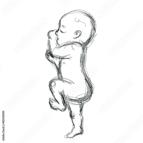 A Newborn, a baby, an infant. Vector line drawing, abtract illustration, line art. Black and white sketch. Ink poster. Minimalistic.