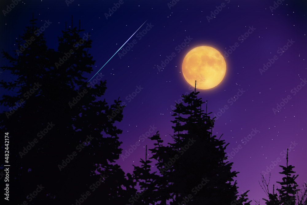 Tree silhouettes, stars and Moon on a vivid sky. Tree silhouettes, stars and Moon on a vivid sky.