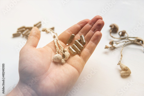 Bild auf Leinwand Psychedelic drug. Dry Psilocybe cubensis. Psilocybin Mushroom.