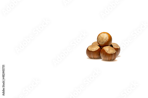 hazelnuts isolated on a white background