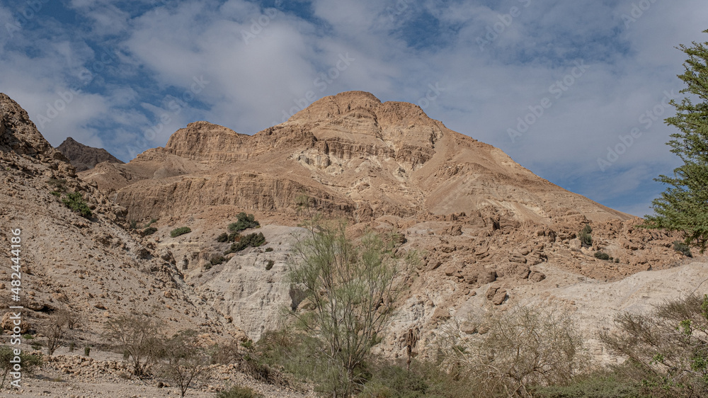 View of Mount Yishai, towering 190 m above Nahal David canyon entrance, Ein Gedi National Park and Nature Reserve, Dead Sea, Judean Desert, Israel.